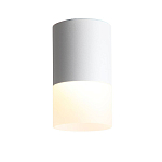 ST100.502.10 Светильник потолочный Белый LED 1*10W 3000K 780Lm Ra>80 120° D78xH135 170-240V Накладные светильники 250_100_Array